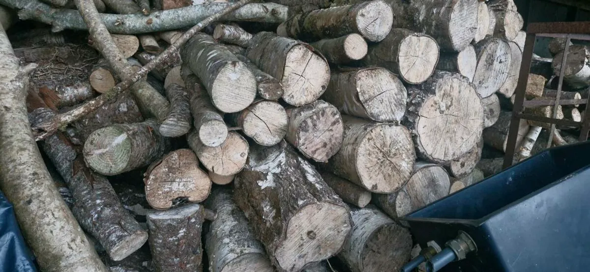 Firewood - Image 3