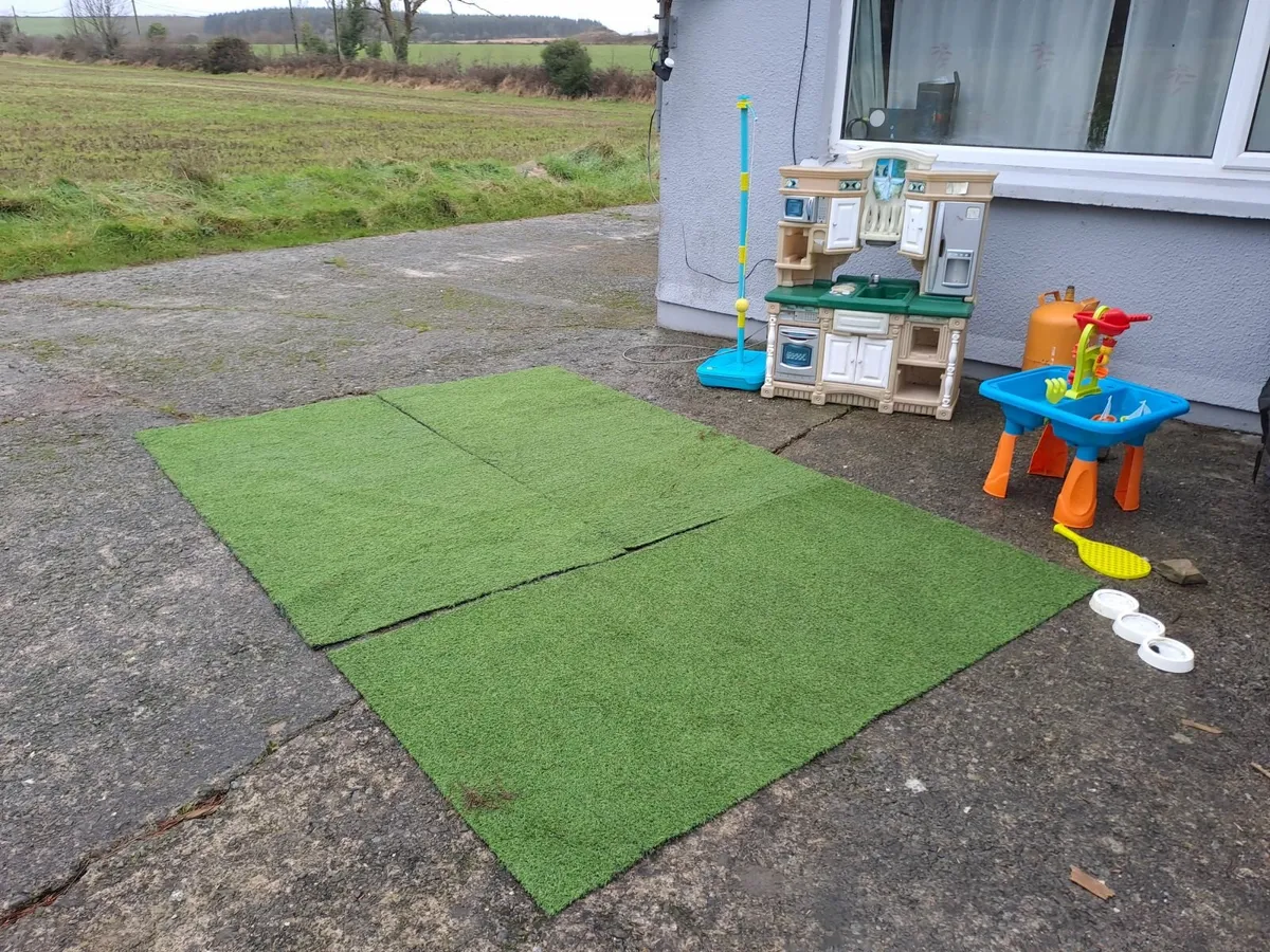 Astroturf - Image 1