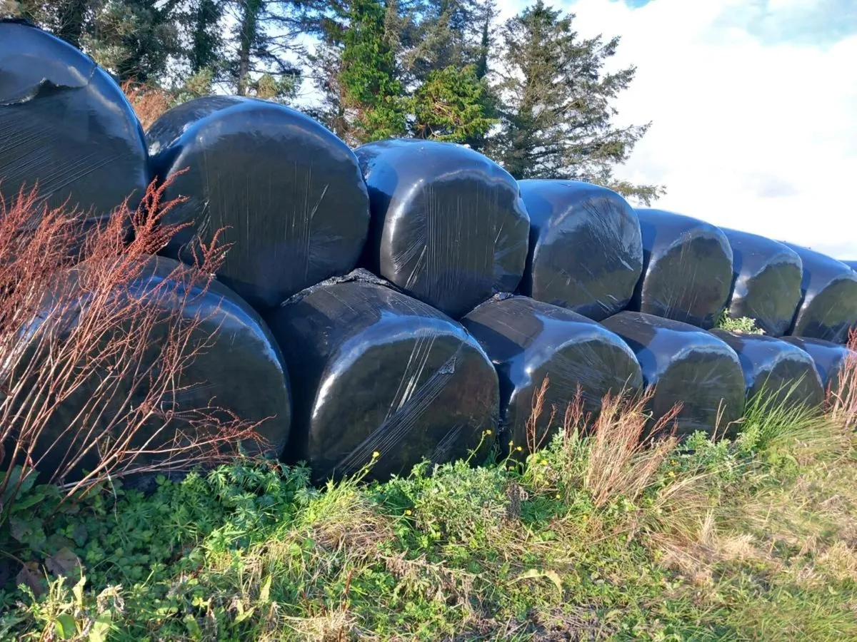 Bales