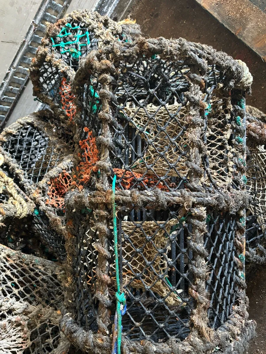 Lobster pots - Image 3
