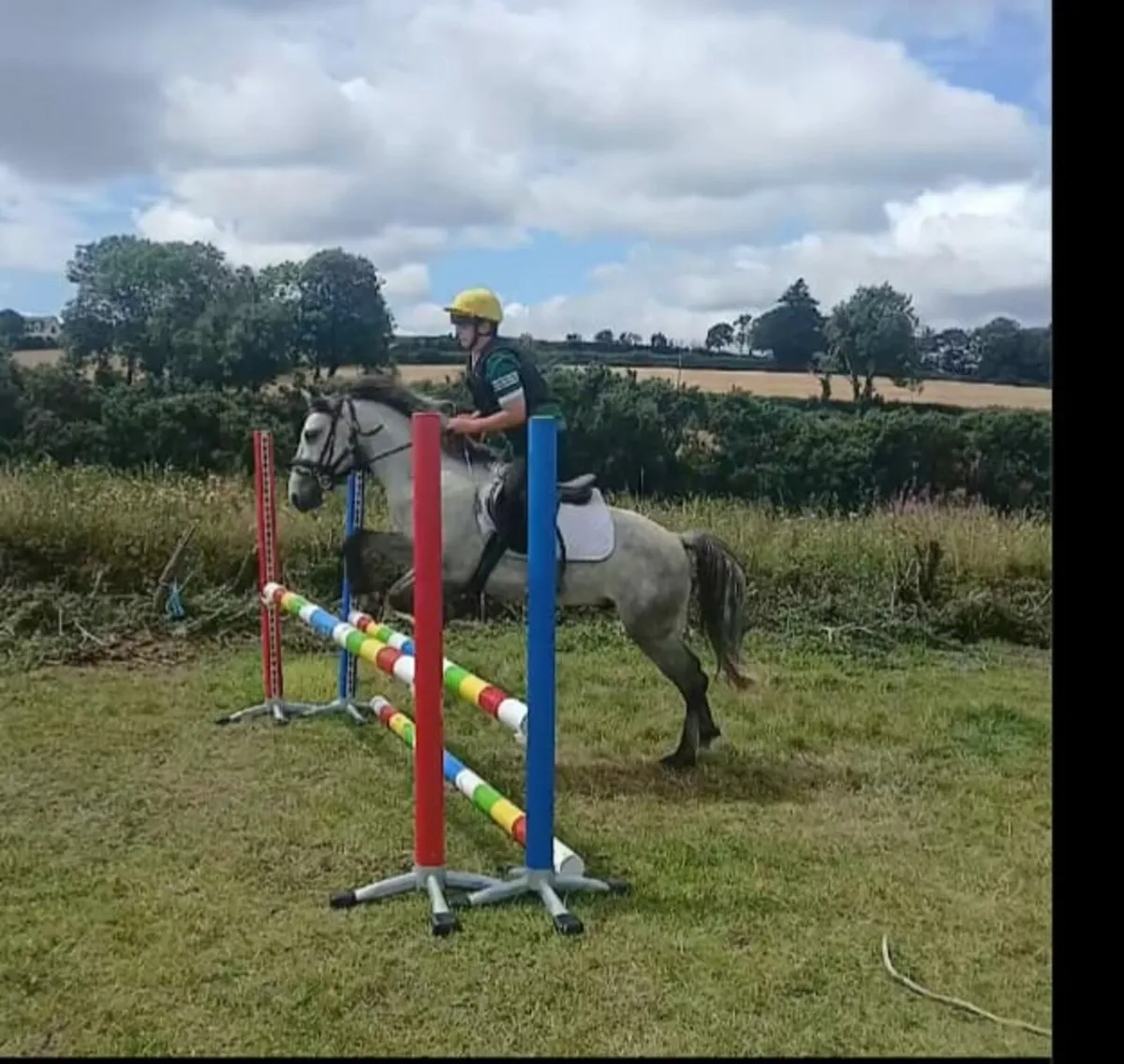 Pony - Image 2