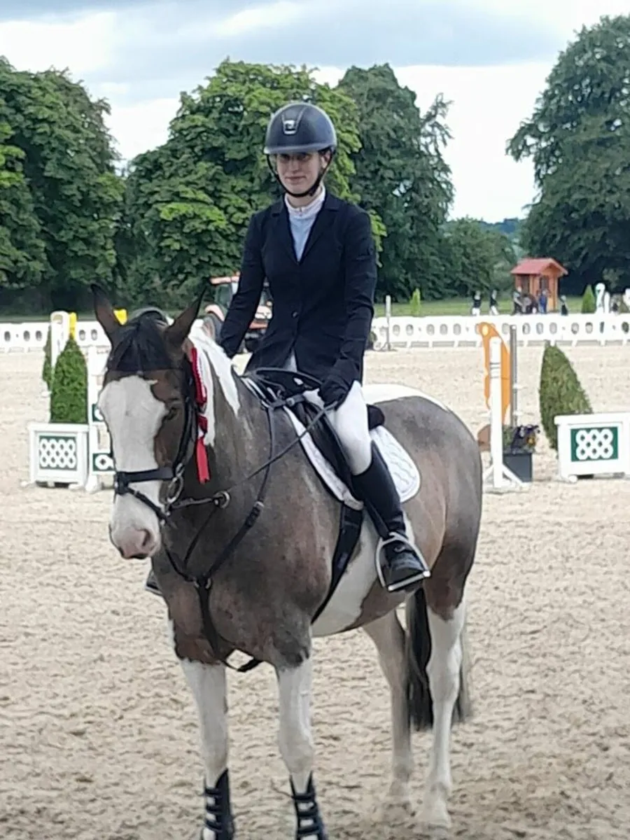 Attractive Coloured Mare - Image 1