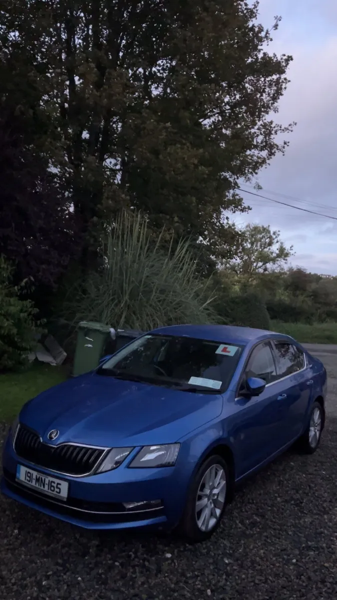 Skoda Octavia 1.6 tdi - Image 1