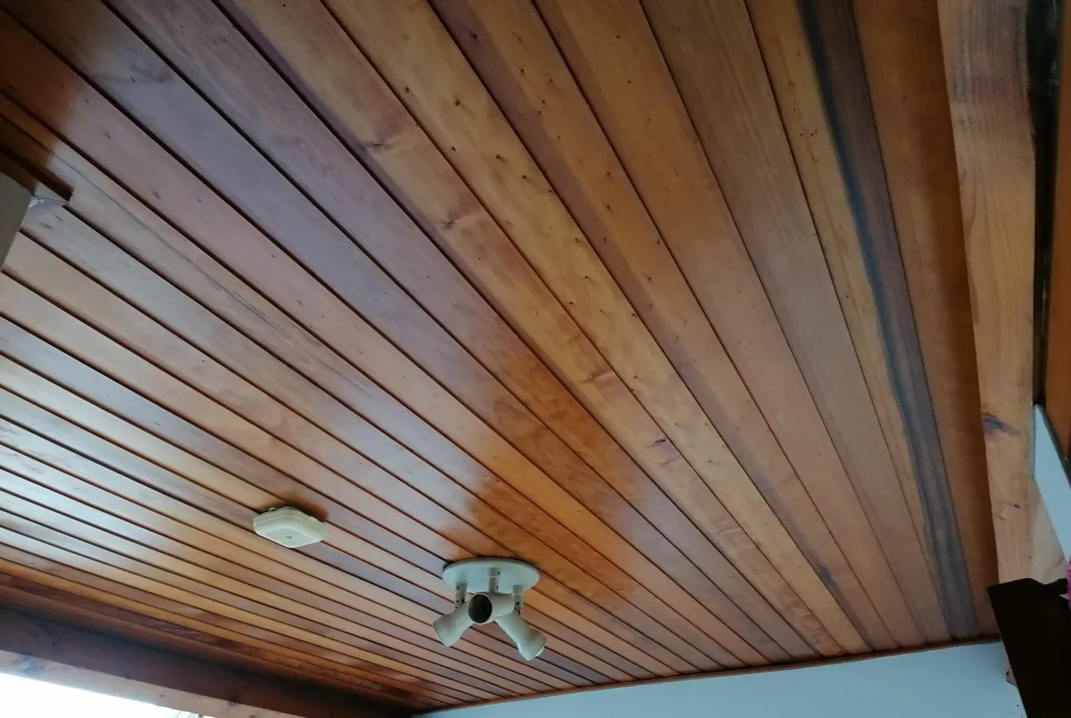 Shiplap ceiling boards for sale