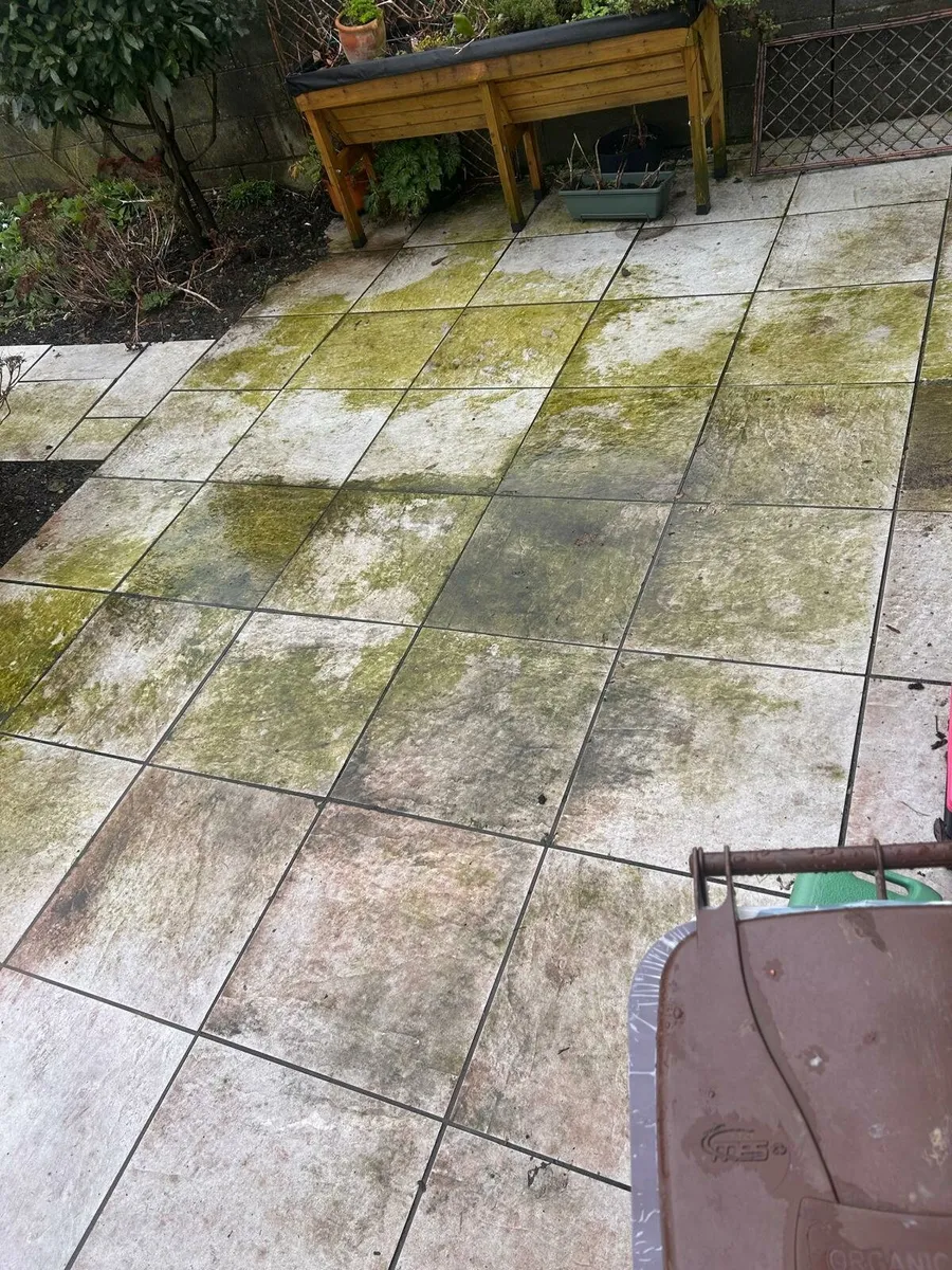 Cleaning - Image 1