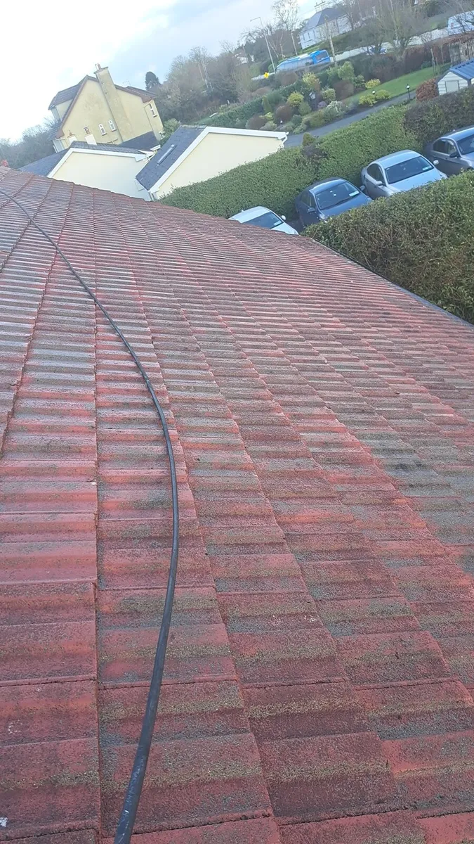 Cleaning - Image 4