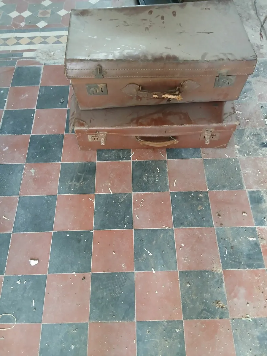 Retro suitcases - Image 1