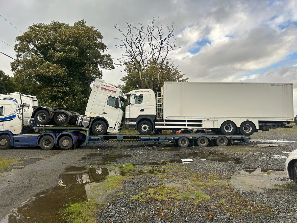 Trucks wanted for export +447502674694 - Image 1