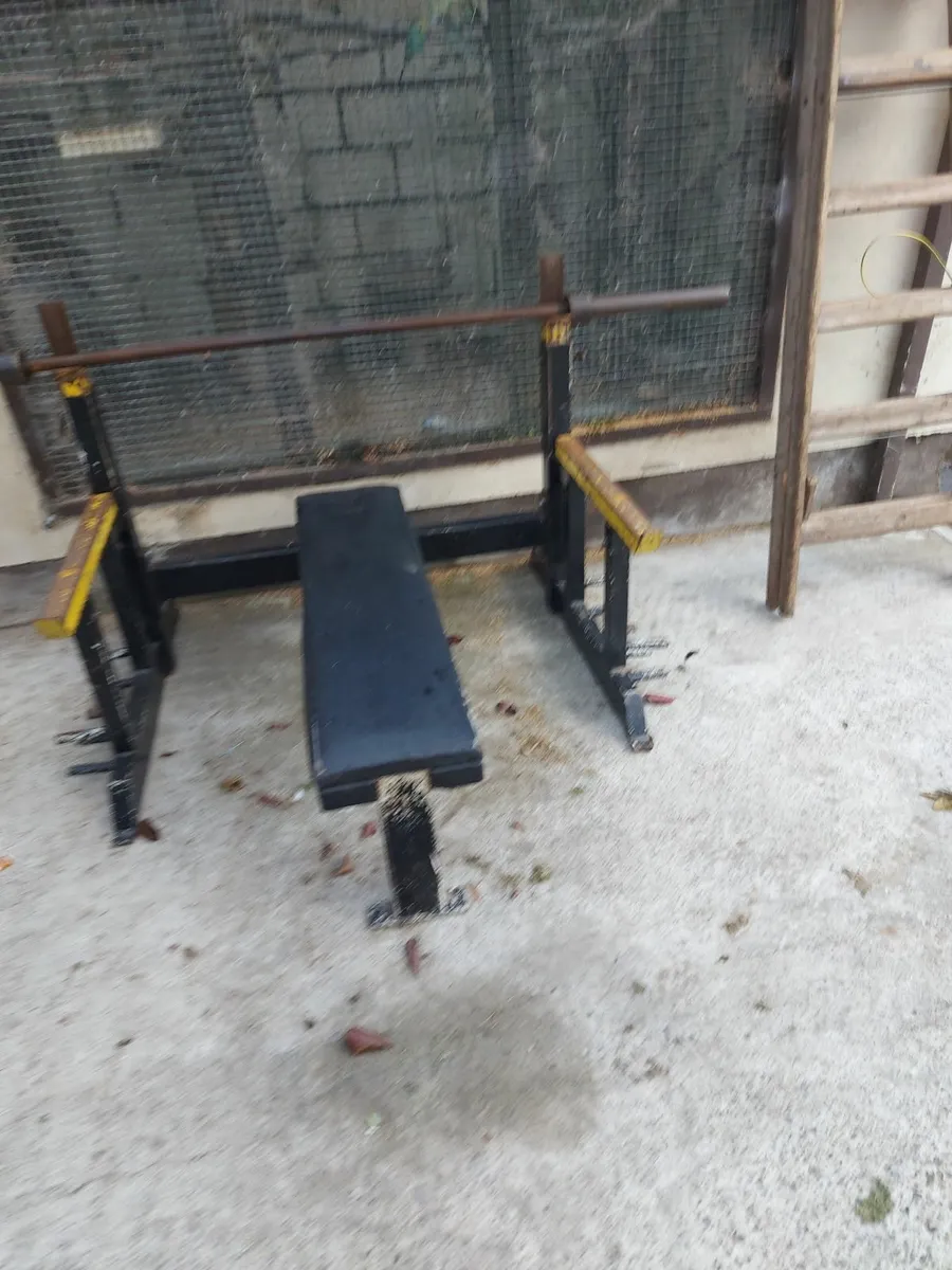 Weight bench and bar - Image 1