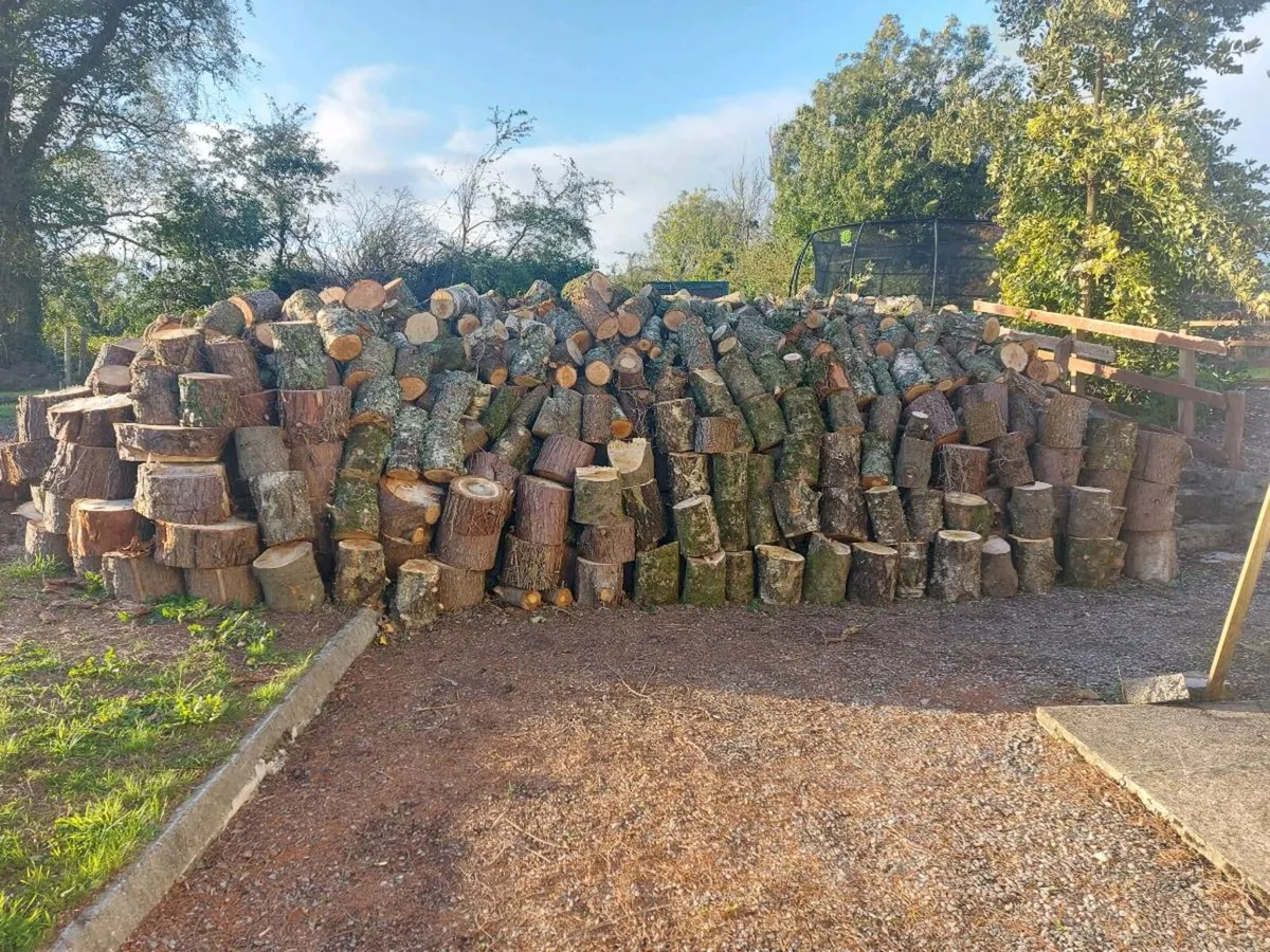 Firewood for sale - Image 1