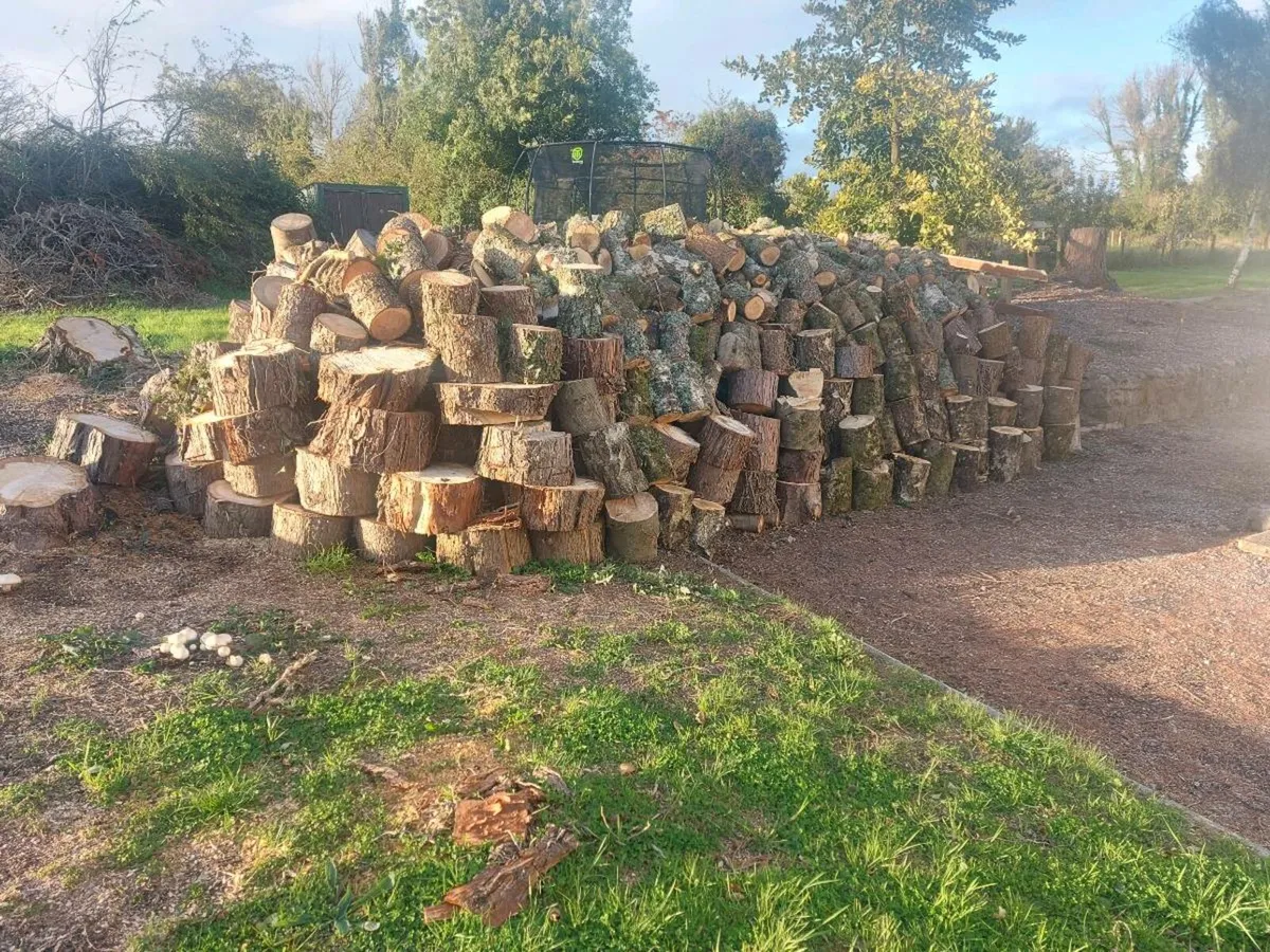 Firewood for sale - Image 2