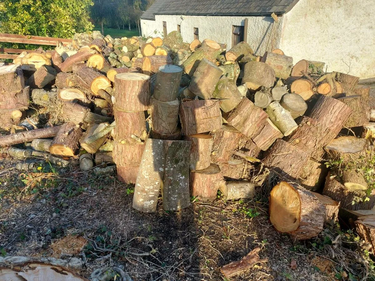Firewood for sale - Image 3