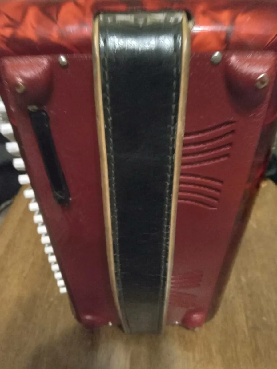 Accordion - Image 3