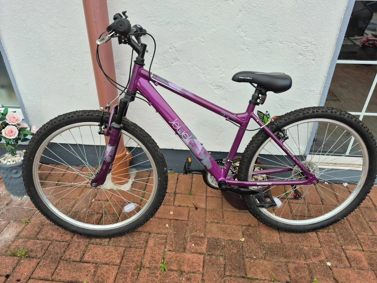 Ladies Mountain Bike