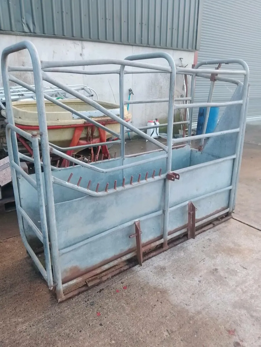 Cattle Crush Galvanised - Image 1