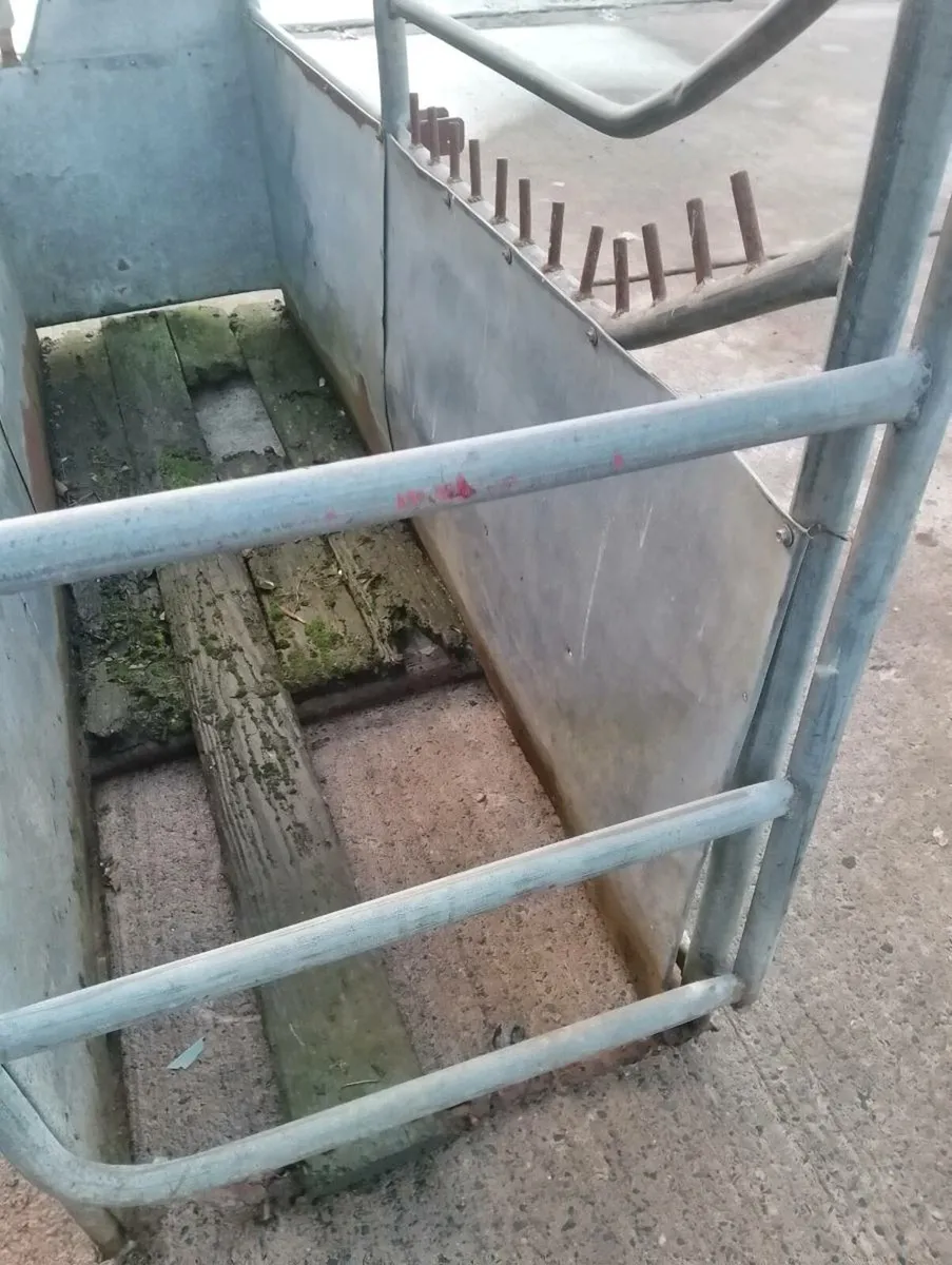 Cattle Crush Galvanised - Image 3