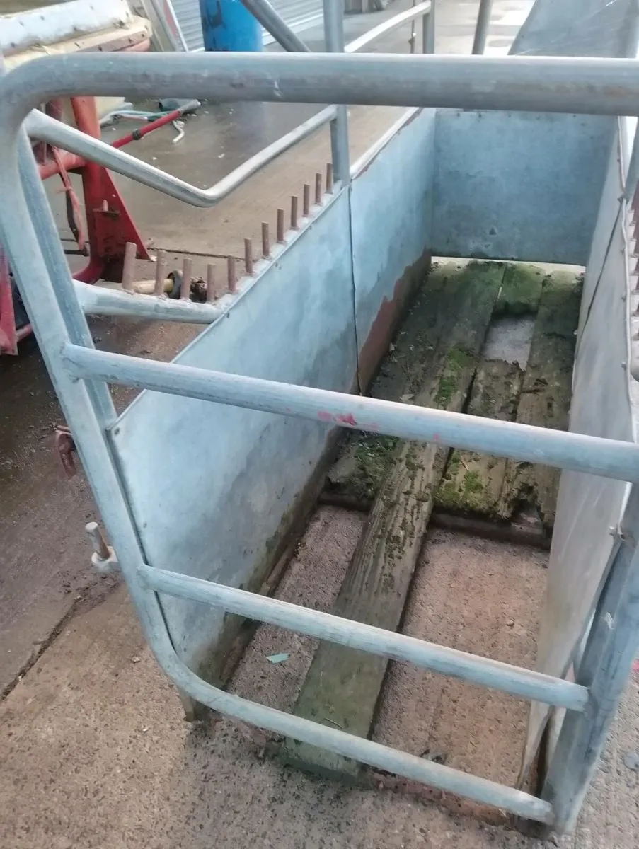 Cattle Crush Galvanised - Image 4
