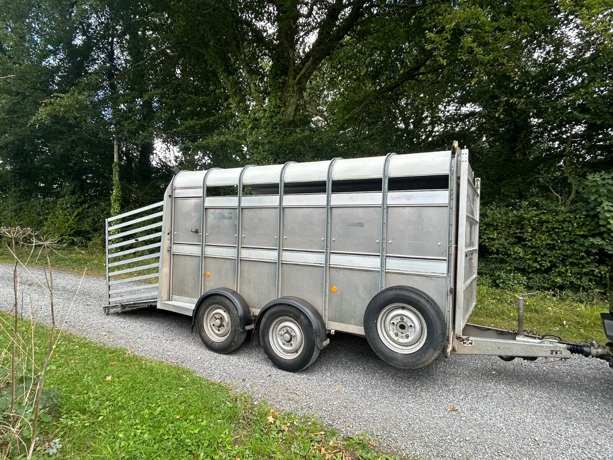 Ifor Williams 12x5.10  Ta510 Livestock Trailer - Image 2