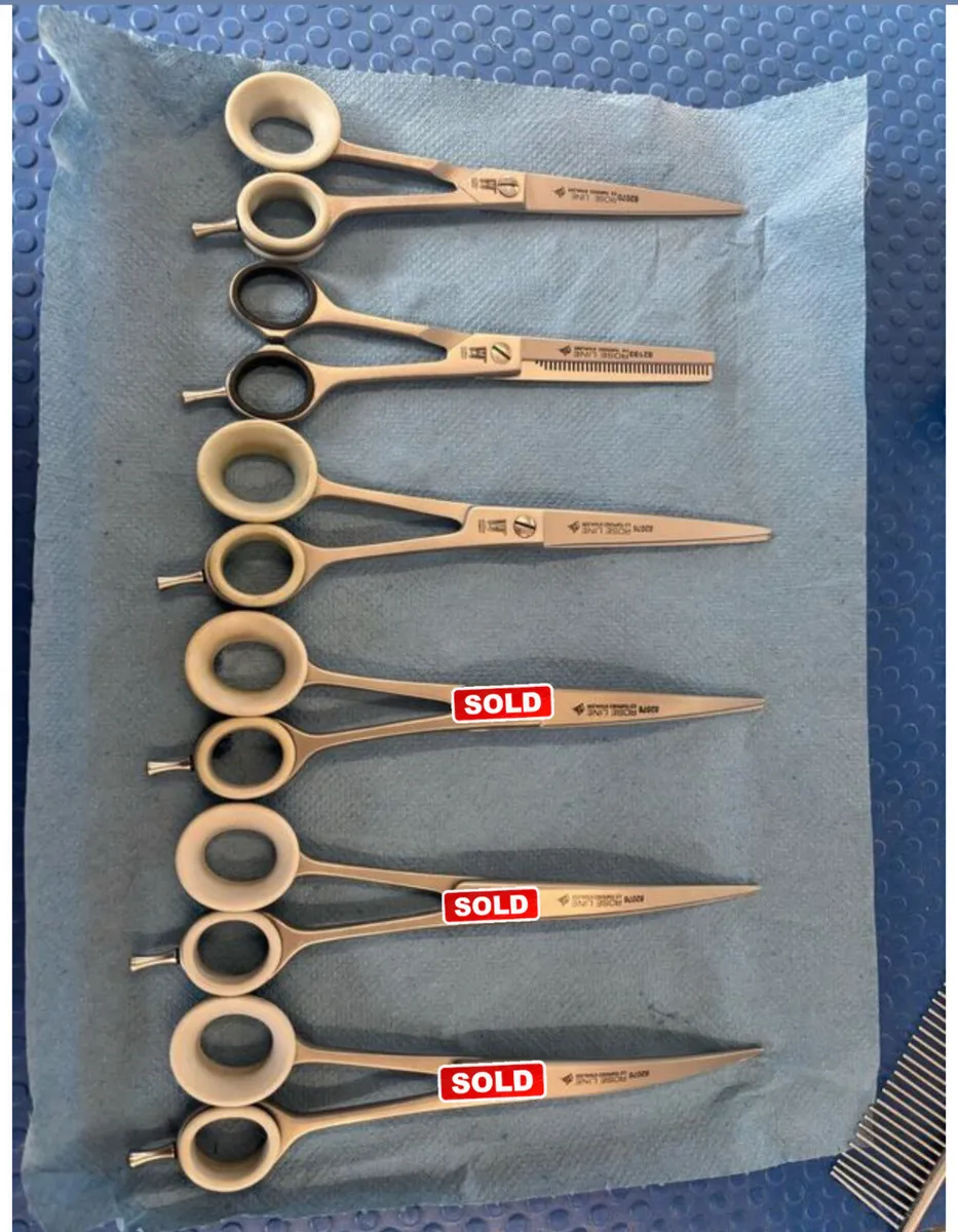 Grooming Scissors - Image 1