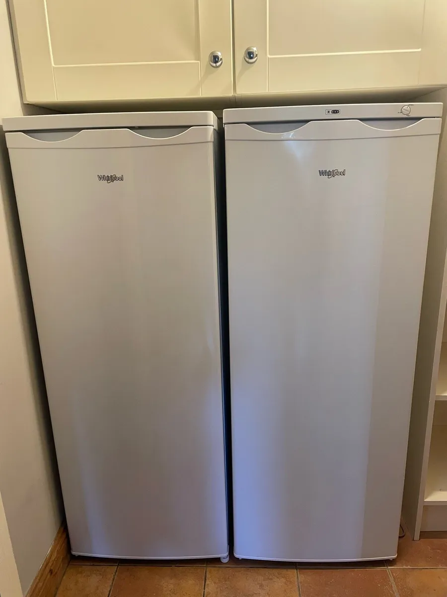 Fridge and Freezer - Image 1