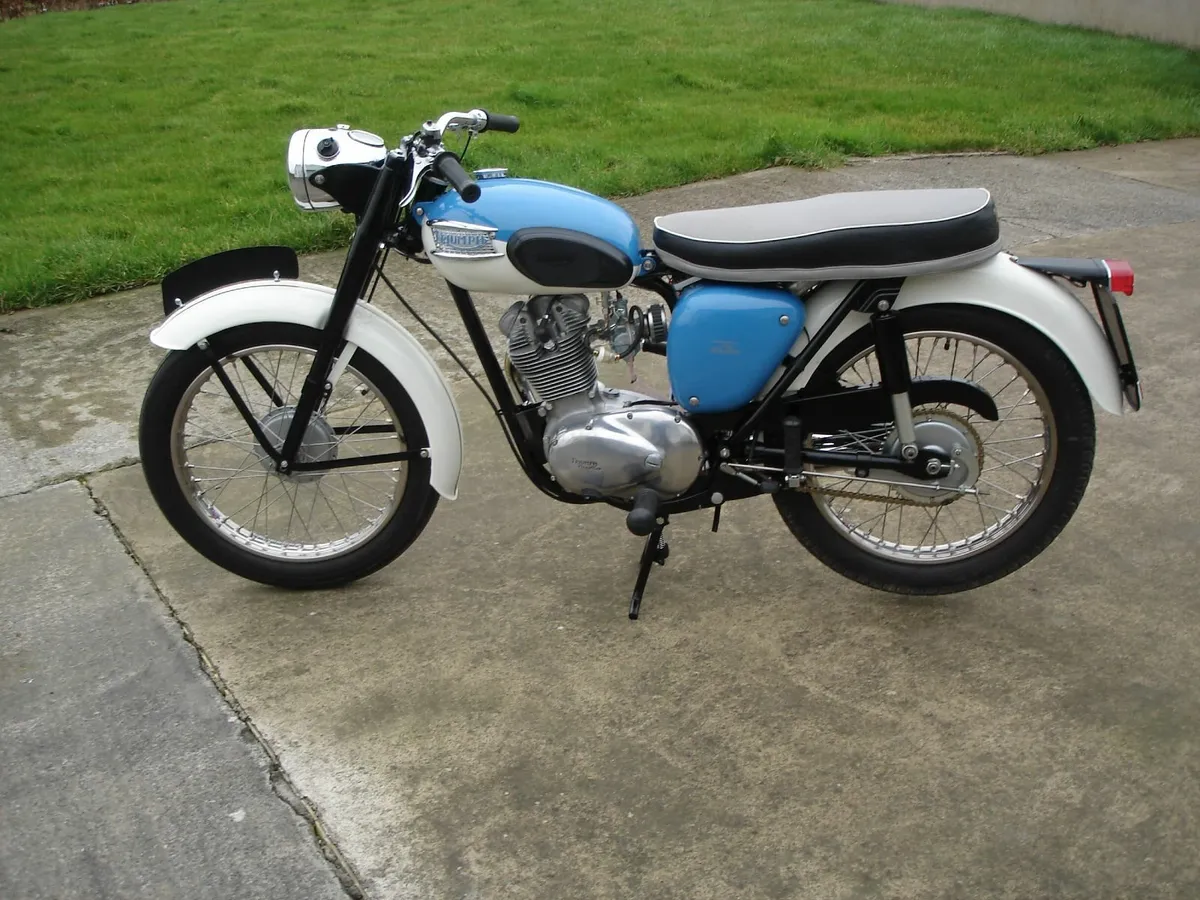 Triumph Tiger cub 1966 - Image 2