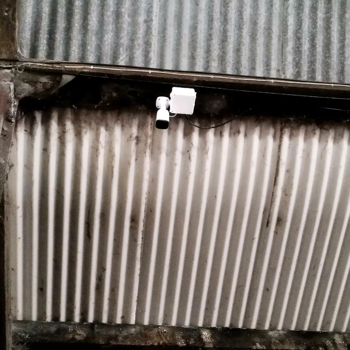Calving cameras - Image 3