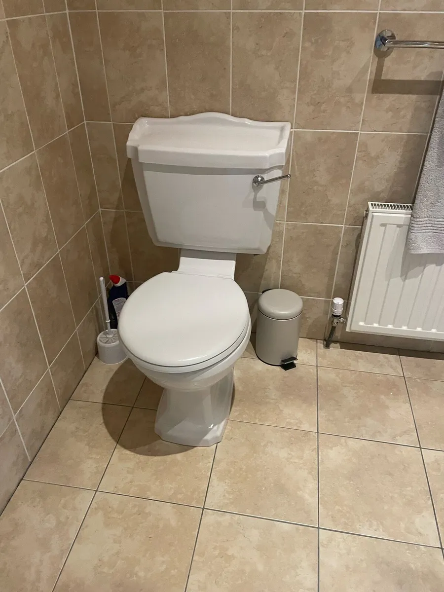 Sinks and toilets - Image 1