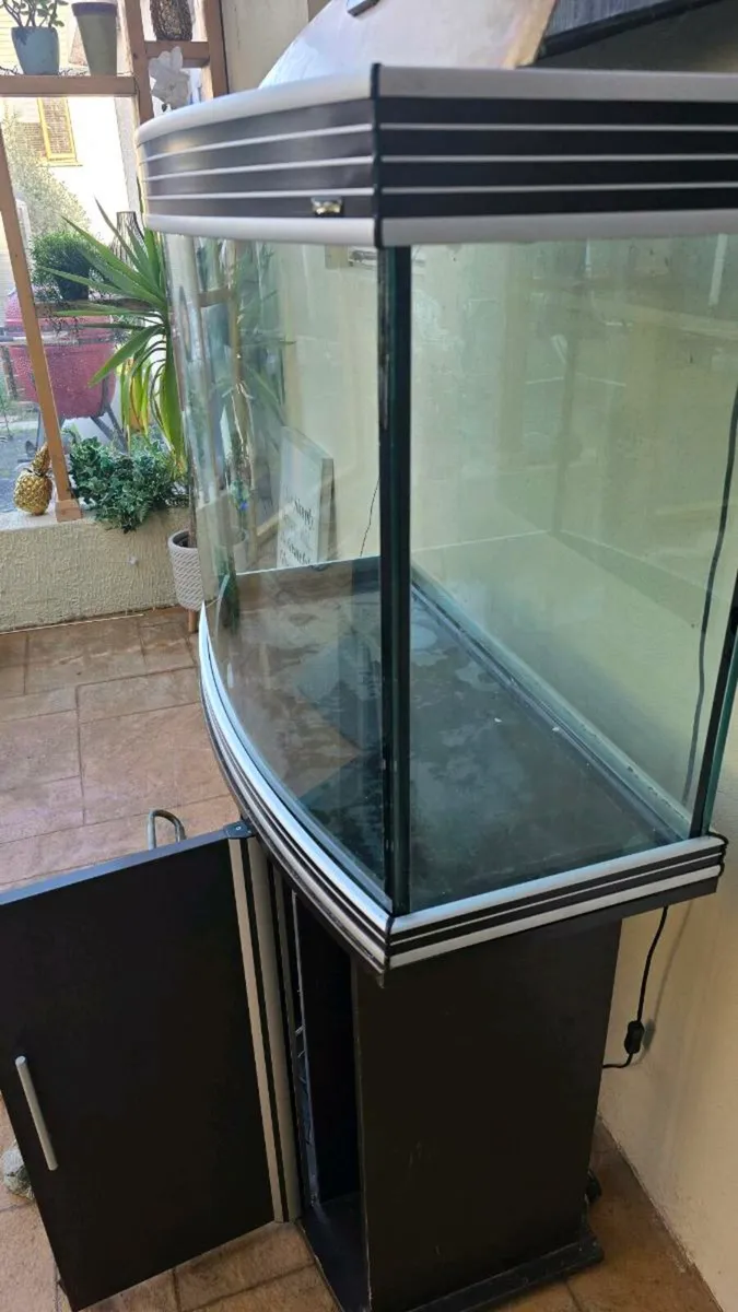 Fish tank - Image 1