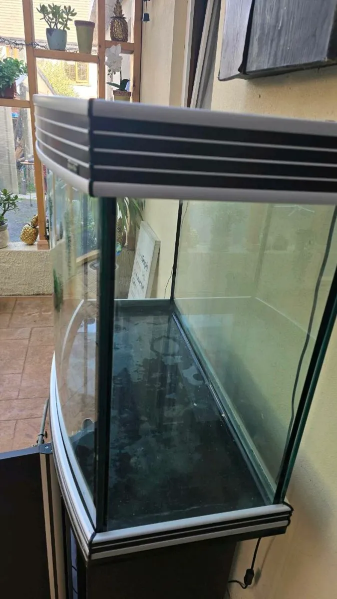 Fish tank - Image 3