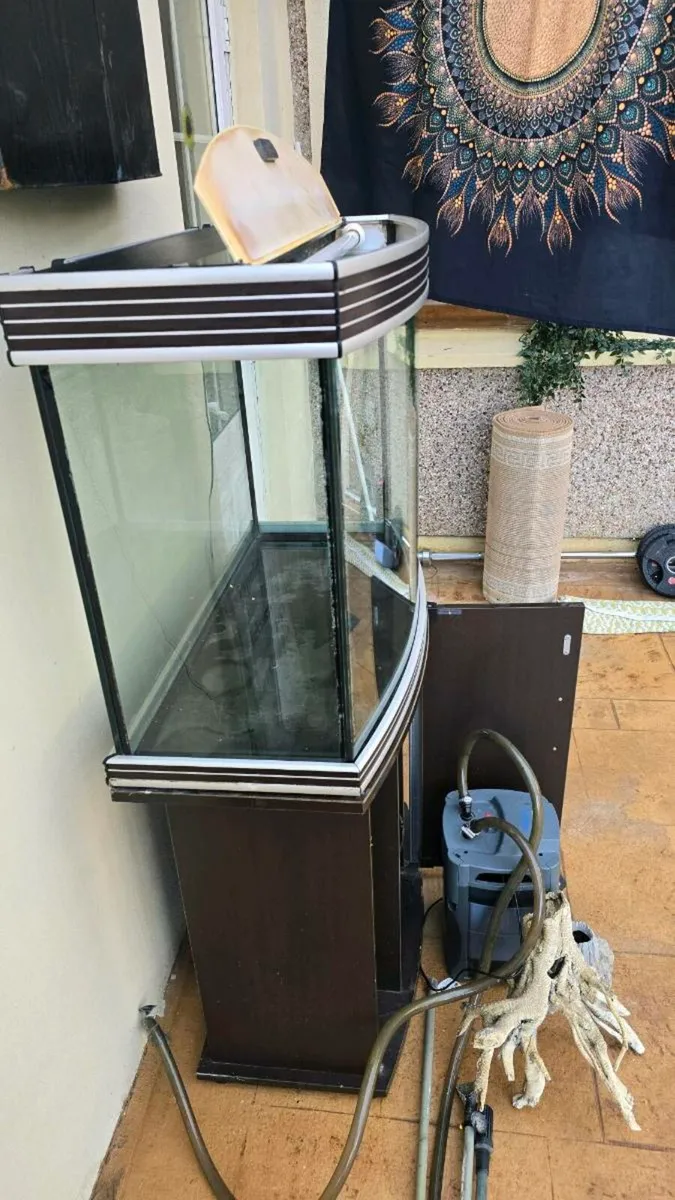 Fish tank - Image 4