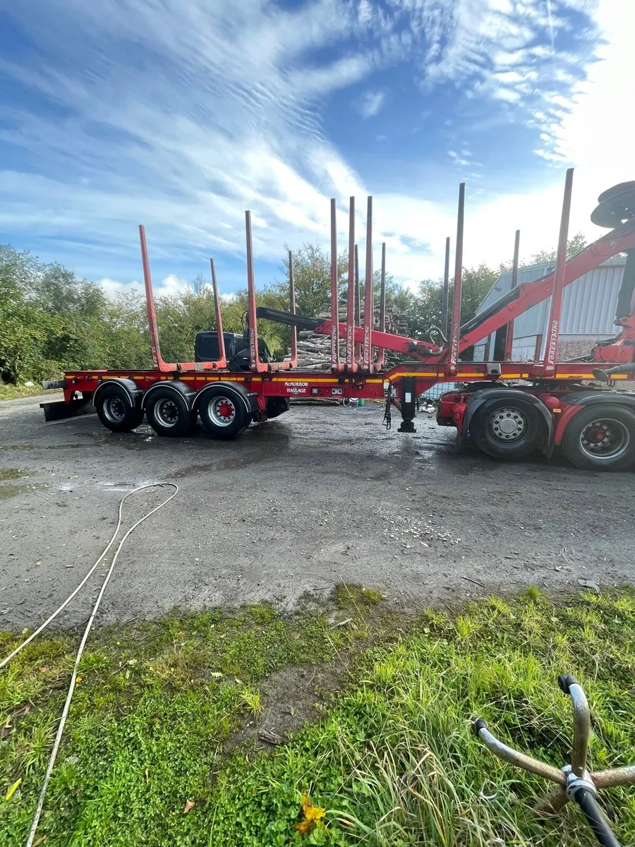 Dennison timber trailer - Image 2