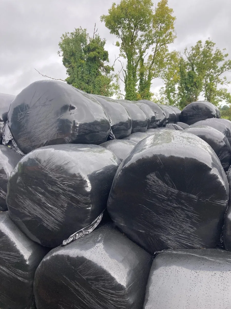 Silage/ Hay For sale - Image 4