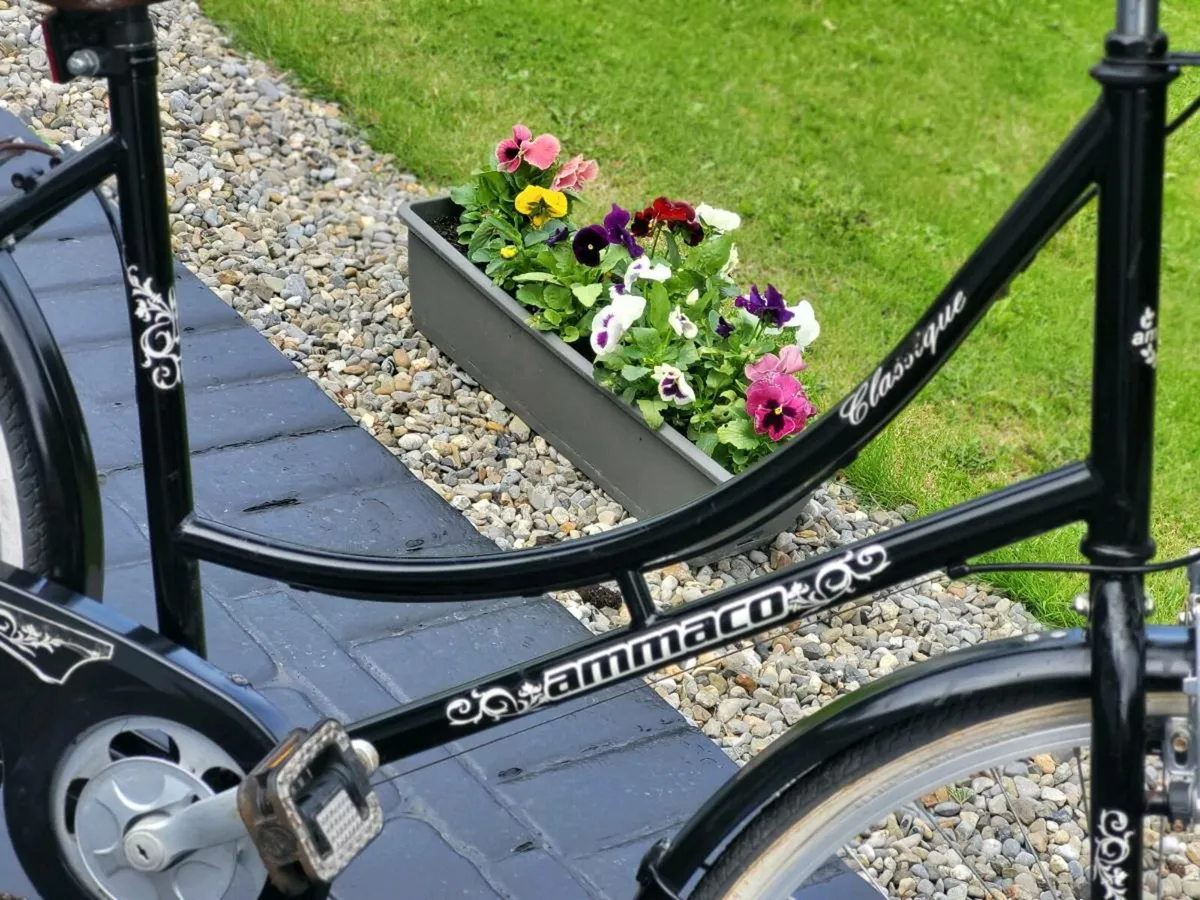 LADIES BIKE N BASKET USED IN WORKING ORDER - Image 4