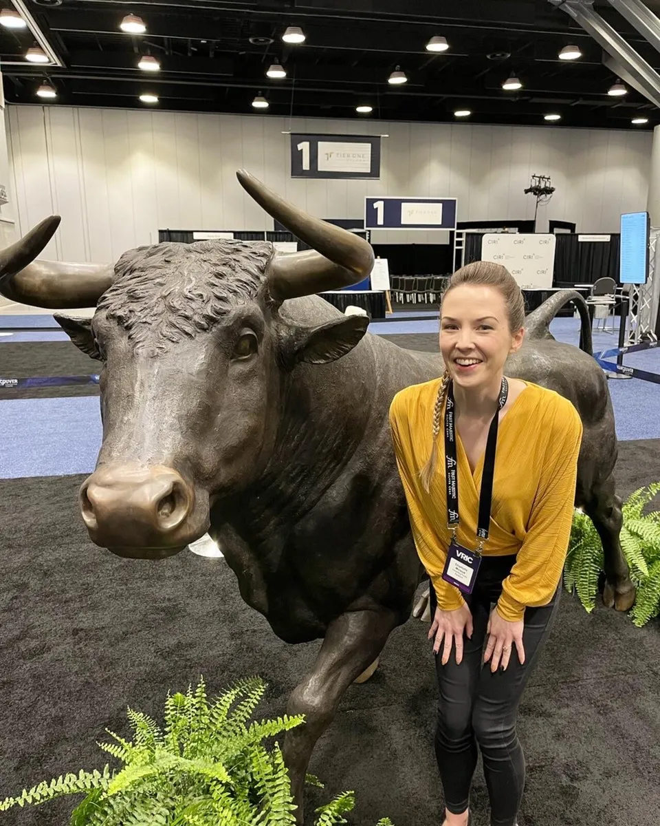 Bronze bull sculpture - Image 1