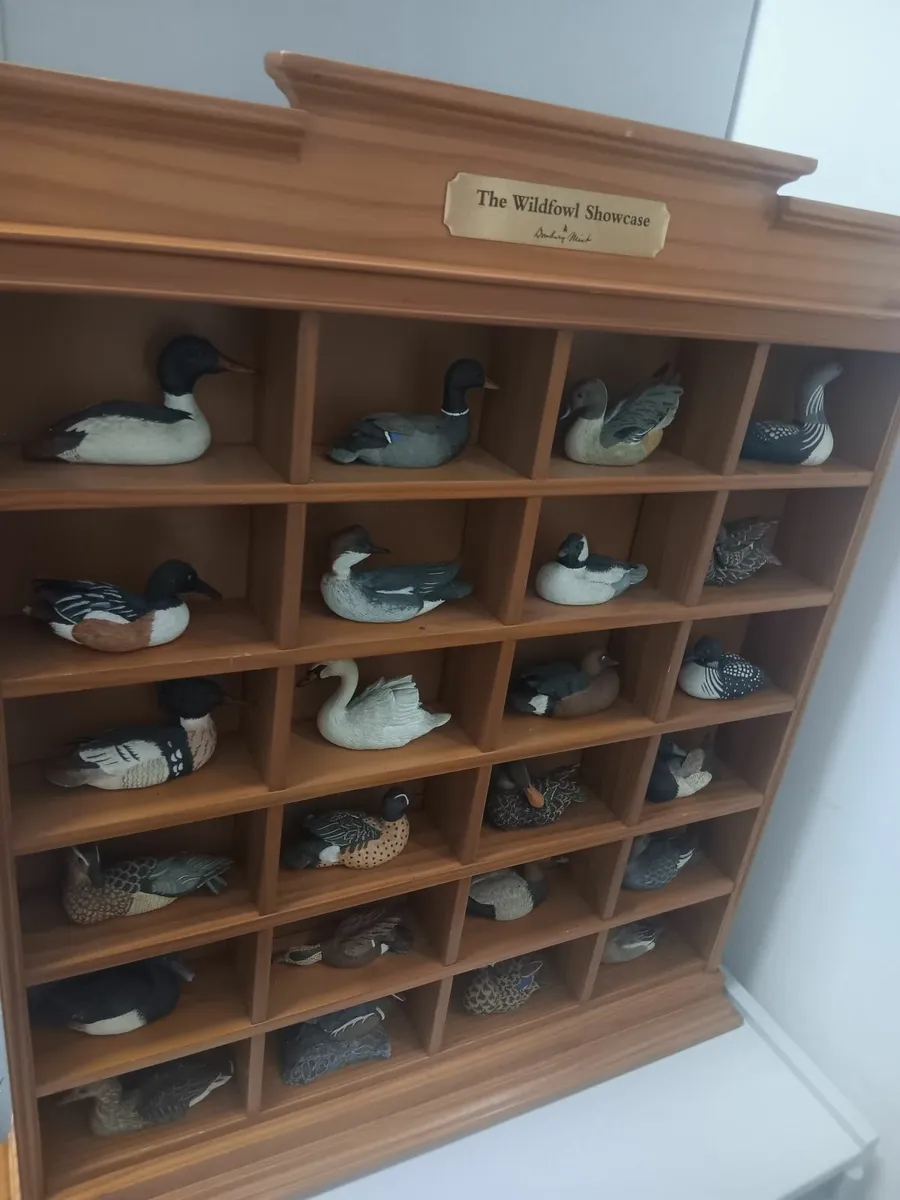 Wildlife display - Image 1