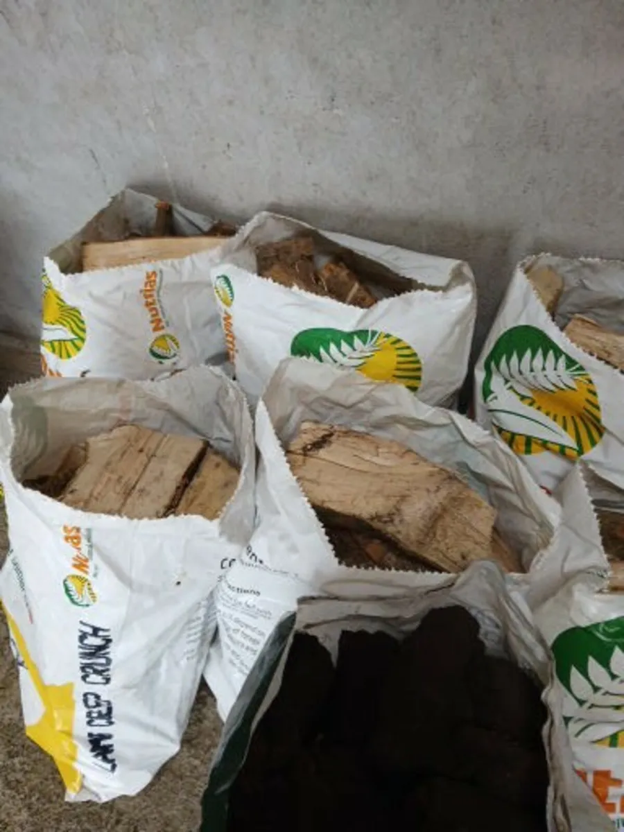 Firewood - Image 2