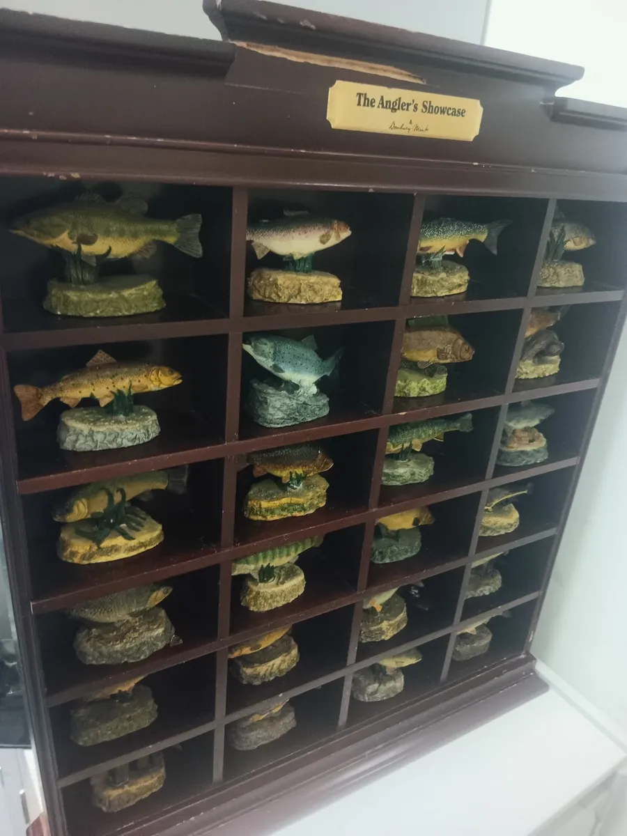 Angling showcase - Image 1