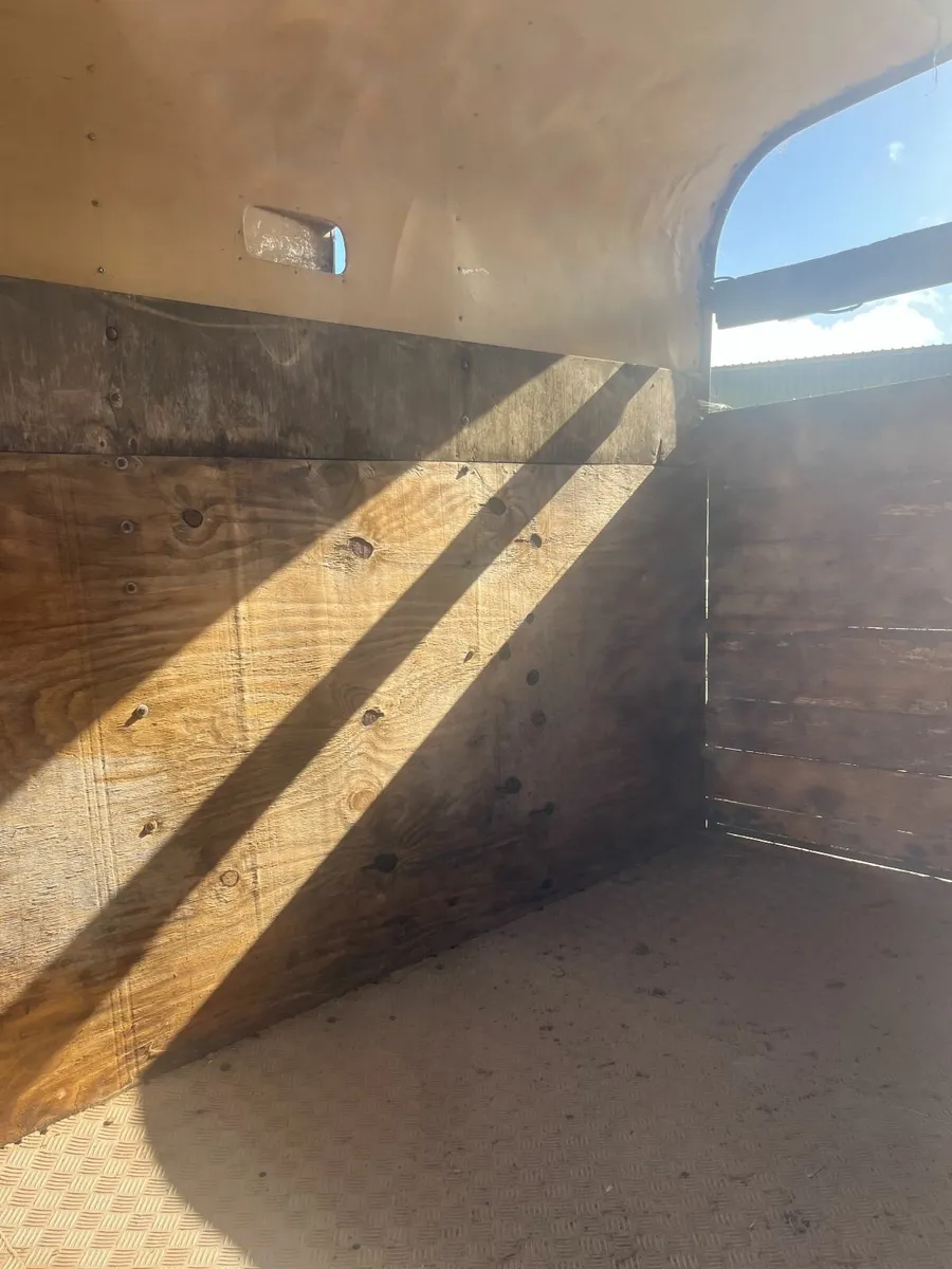 Rice Horse Box - Image 2