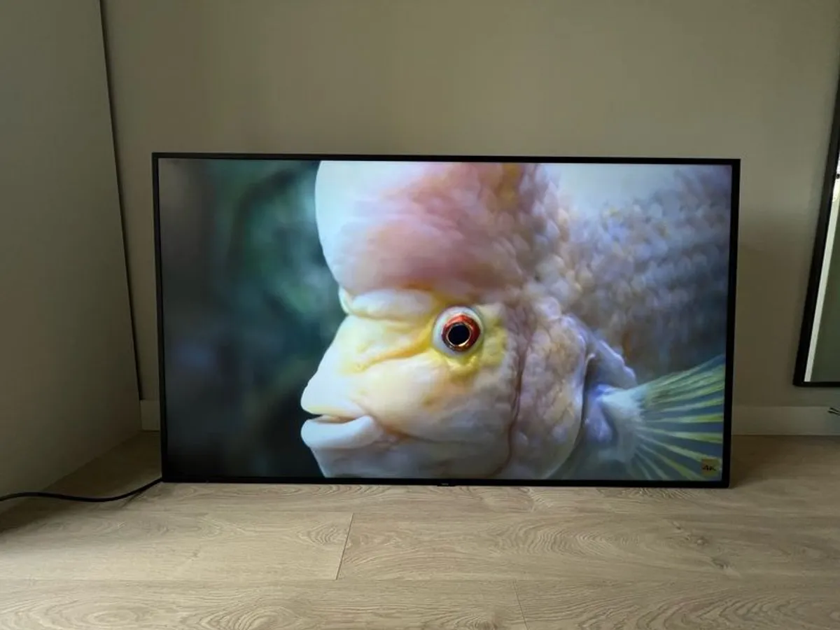 nec multisync 75inch