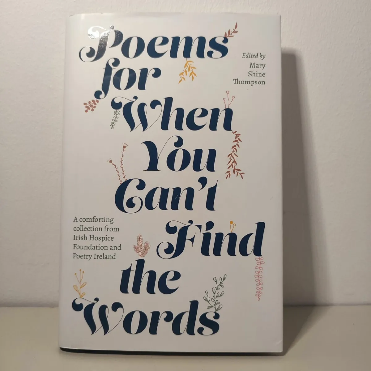 Poems For When You Cant Find The Words Mary Shine - Image 2