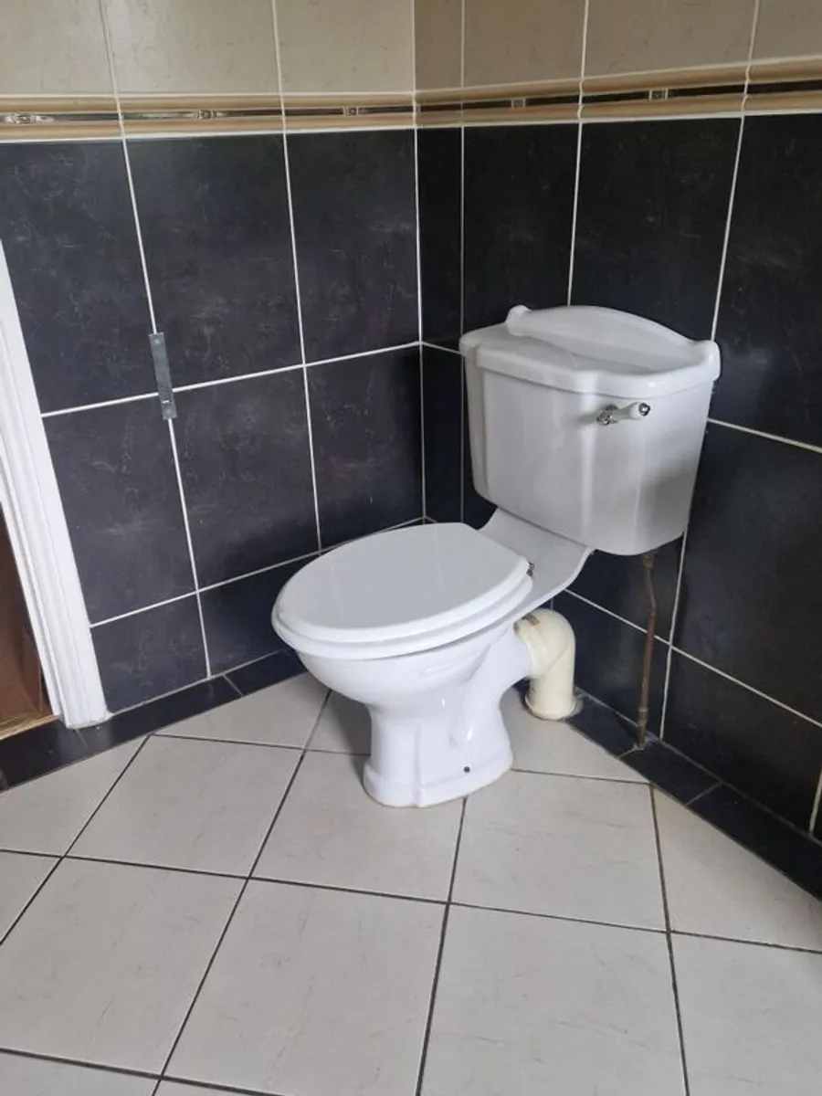 Toilet, sink, mirror and unit - Image 1
