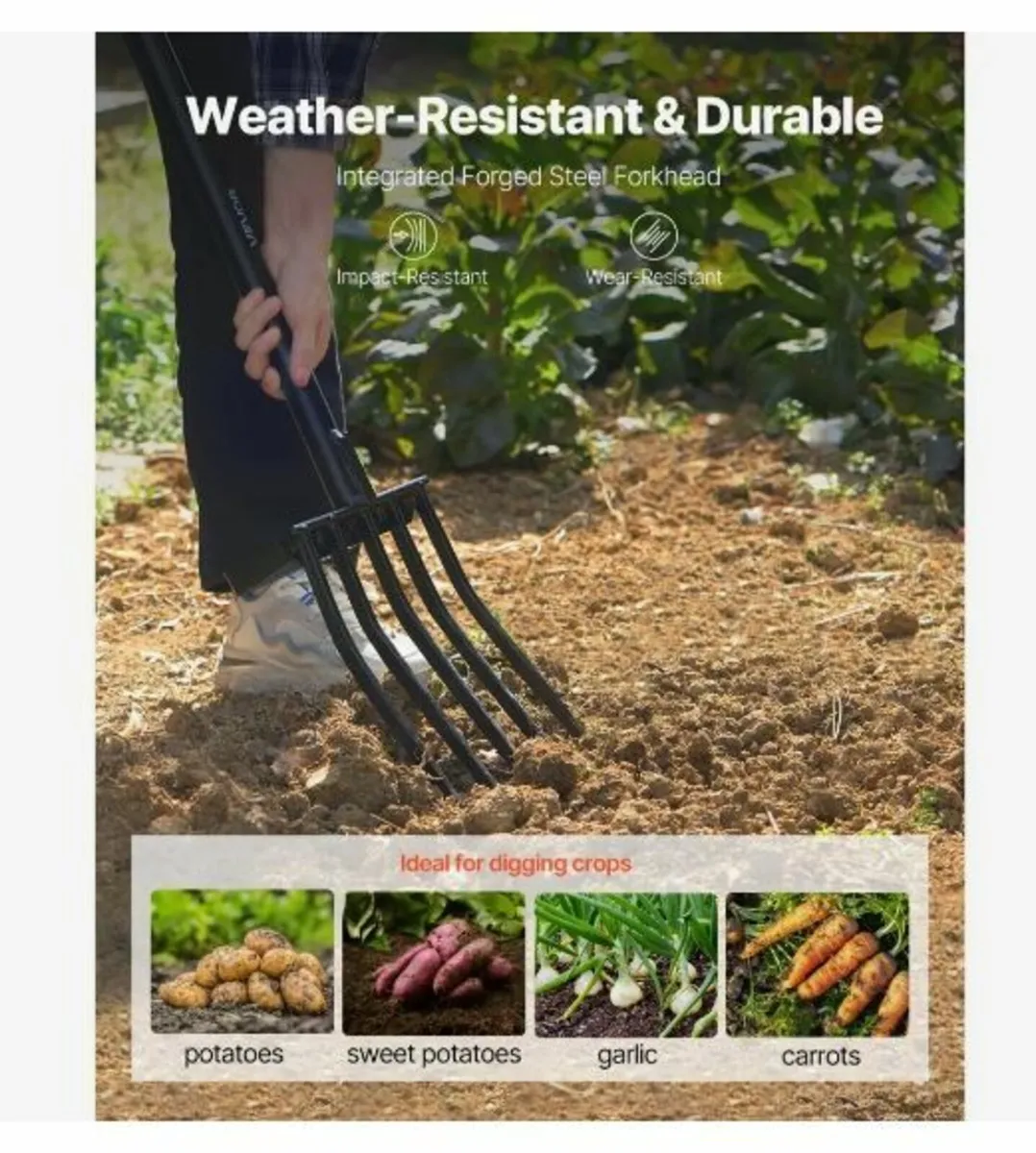 Garden Fork, 5-Tine Gardening Pitchfork - Image 3
