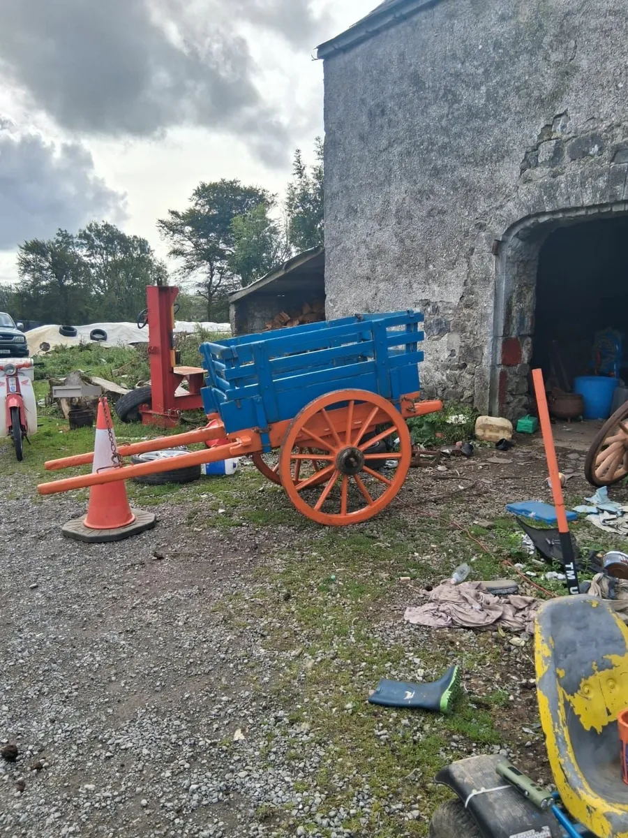 Donkey cart - Image 1