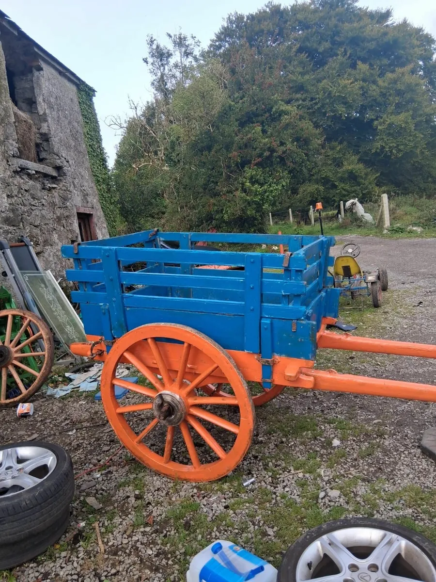 Donkey cart - Image 3