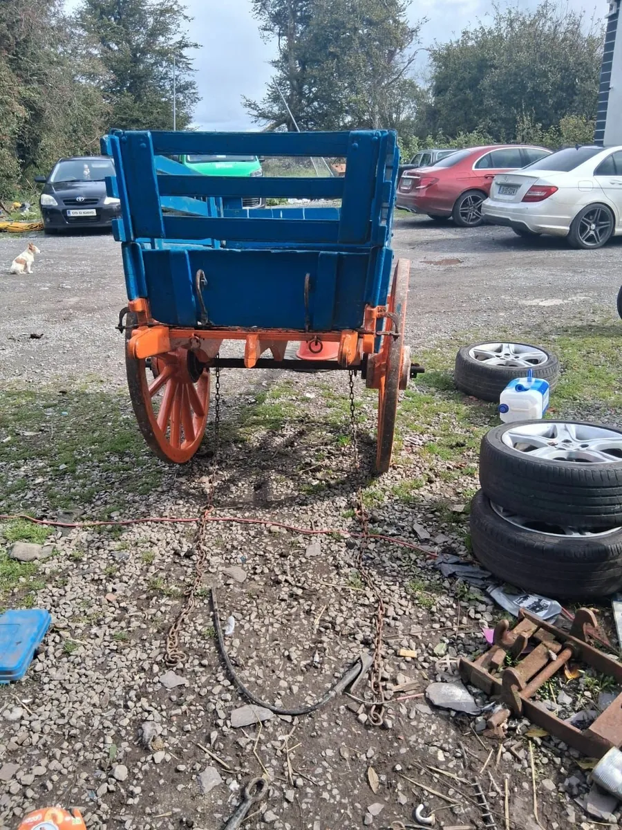 Donkey cart - Image 4