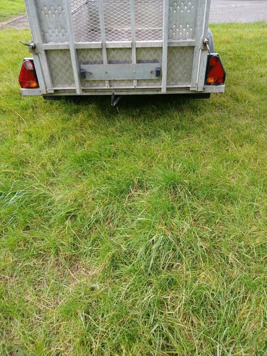Nugent trailer 8ft 2 by 4ft 2 - Image 4
