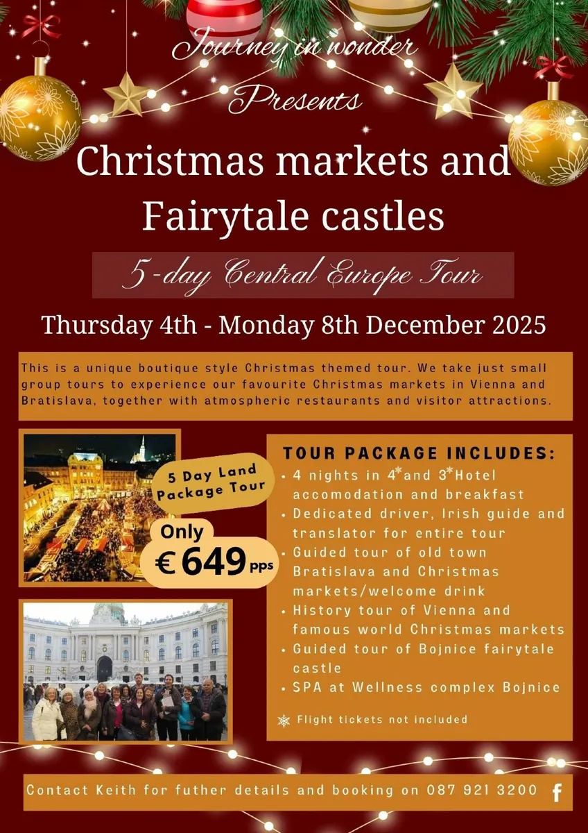 Christmas markets and Fairytale castles in Europe. - Image 1