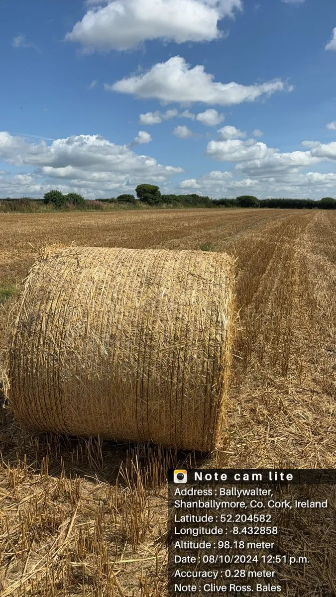 Wheaten straw bales
