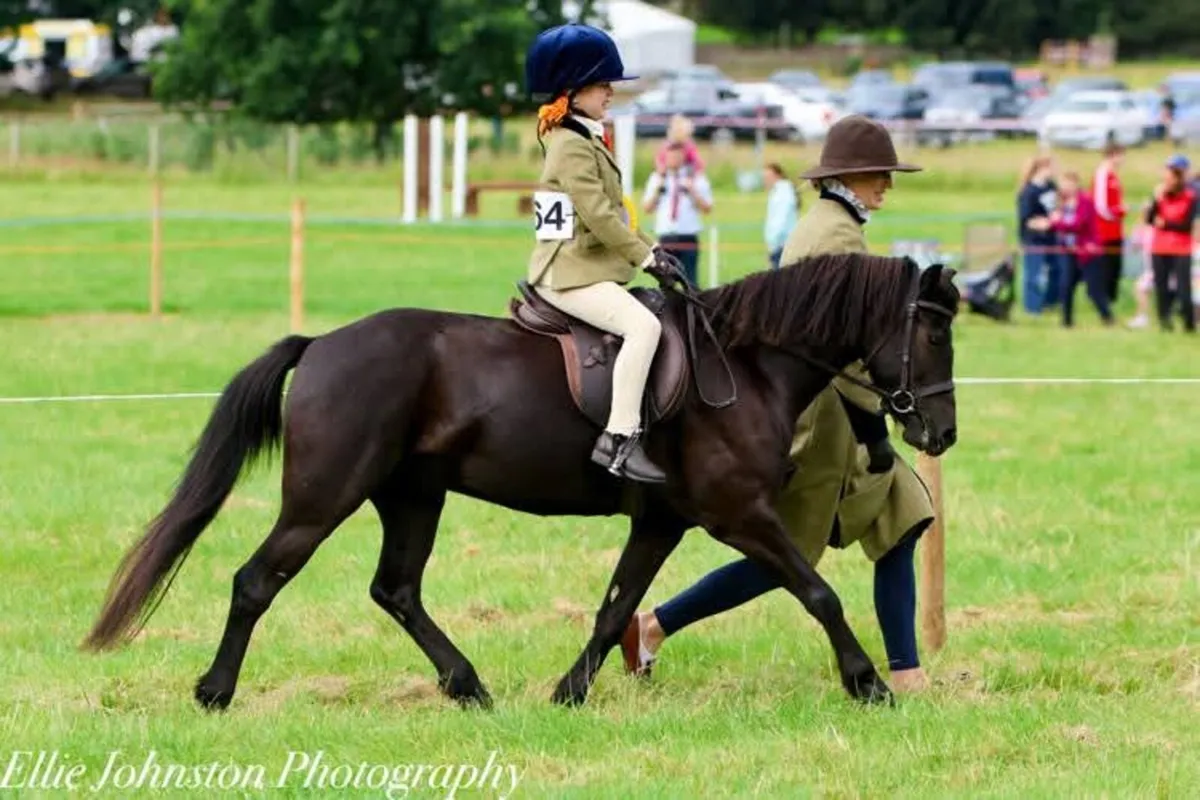 Dartmoor childs pony lead rein. - Image 1