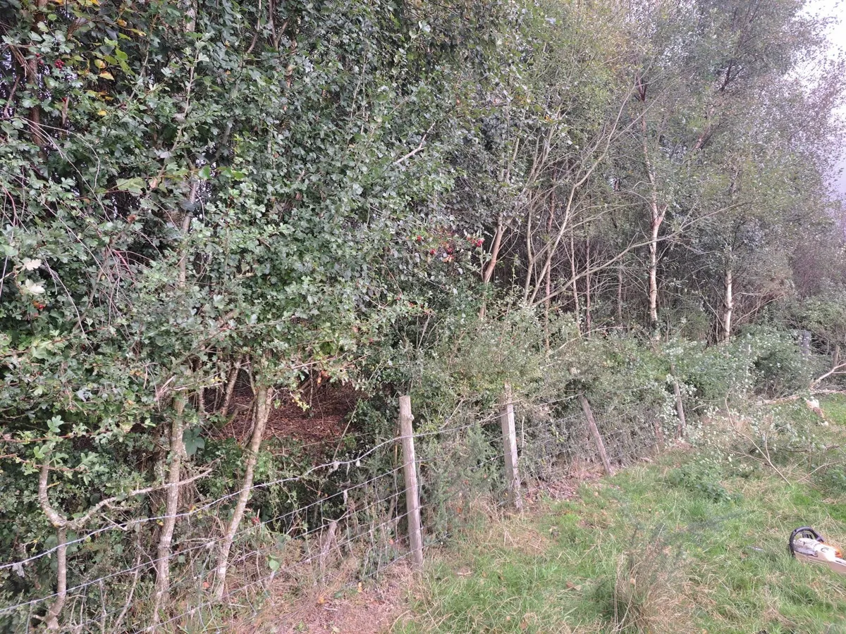 Sawing work - Image 1